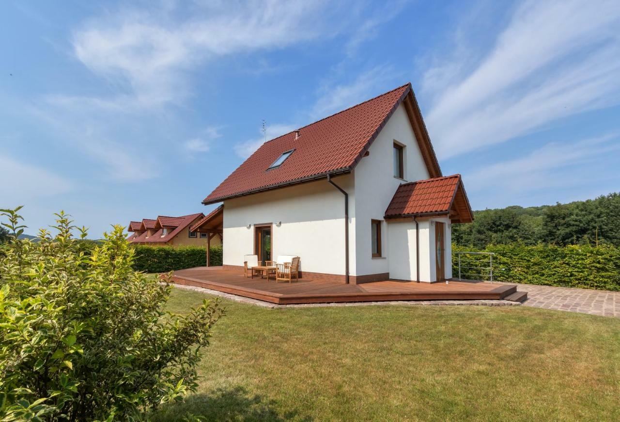 הוילה Wisełka Amber House מראה חיצוני תמונה